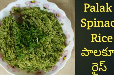 Palak Rice | Quick lunch box Recipes | Spinach Recipes | Healthy Recipes | Palakura Recipes |