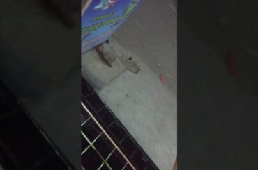 Chill and Chilli Yummy Healthy Food Parlor #coimbatore #food