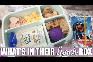 What's in Their Lunch Box | Bento Box School Lunch Ideas |November 2019
