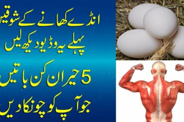 eggs benefits | 5 amazing benefits of eggs | انڈے کے فوائد | Health Tips Hindi/Urdu