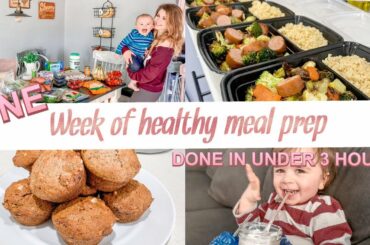 ONE WEEK OF HEALTHY MEAL PREP | SAHM MEAL PREP