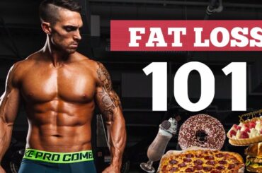 The Best Science Based Diets For Rapid Fat Loss (Meals + Calories)