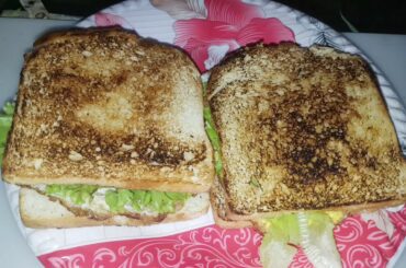 easy sandwich recipe in home urduhindi