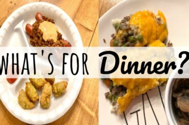 WHAT'S FOR DINNER THIS WEEK | KETO DINNER IDEAS | KID APPROVED MEAL IDEAS | LIVING IN THE MOM LANE