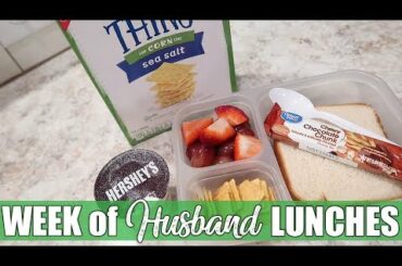 Cold Lunch Ideas | On the Go Healthy Lunches to Save Money | Housewife Life