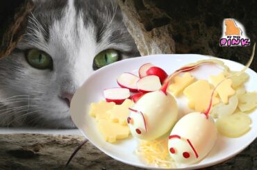 ЗАВТРАК ДЛЯ ДЕТЕЙ! КОШКИ - МЫШКИ - СЫ-Ы-ЫР! 5-minute FAST and HEALTHY BREAKFAST IDEAS/ Май Тойс Пинк