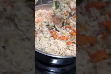 Dog 🐶 food recipe- PT 2 | Healthy Food for our Furbabies | Visual Testaments