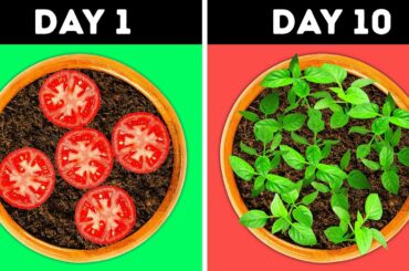 23 GENIUS IDEAS FOR YOUR GARDEN