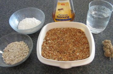 How To Make HEALTHY Homemade Bird Treats! (All birds!)