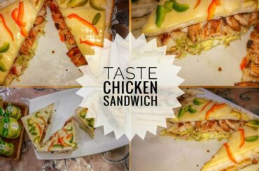 Taste Chicken Sandwich|Simple And Easy Sandwich|Delicious Cooking With Qurat-ul-ain
