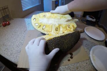 How To Cut Open Jackfruit And Its Weight Loss Benefits As A Raw Vegan Healthy Eating