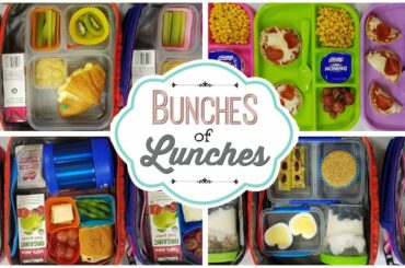 School Lunch Ideas for KIDS 🍎 JK, K, 1st grade, 2nd Grade | Bunches of Lunches