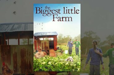 The Biggest Little Farm