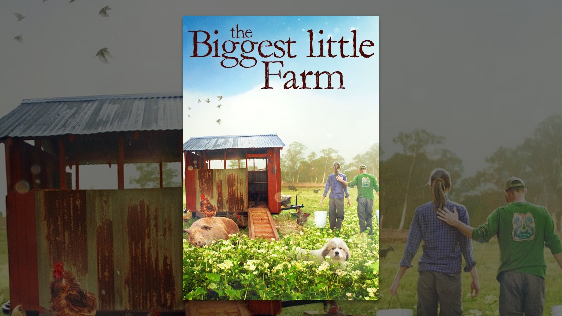 The Biggest Little Farm The Biggest Little Farm