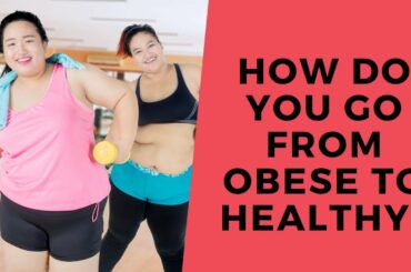 Eat More Weigh Less Recipes Weight Loss Diet