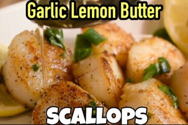 Seared Scallops | Garlic Lemon Butter Sauce | Delicious Dinner Ideas