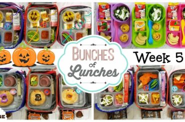 Fun and Easy School Lunch Ideas & What They Ate! 🍎 JK, K, 1st grade, 2nd Grade | Bunches of Lunches
