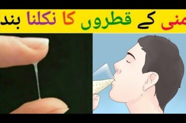 Healthy Food for Breakfast | Best Weight Loss Diet Plan | Health Tips