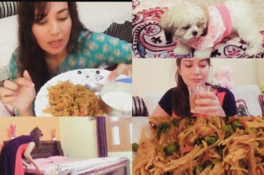 busy morning routine || healthy breakfast recipe || cute shihtzu puppy