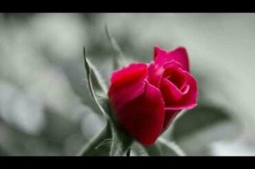 Winter special Recipes | Tasty and healthy | एक बार बनाके रखें महीने तक खाएं | By poonam's kitchen |