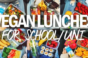 WHAT I TAKE TO UNI AS A VEGAN • 6 Easy Lunch Ideas