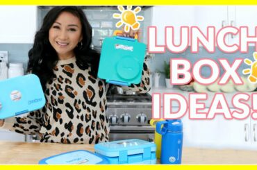SCHOOL LUNCH BOX IDEAS FOR KIDS!