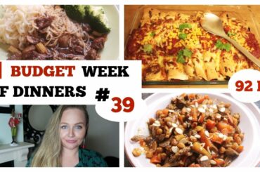 £1 BUDGET WEEK OF DINNERS # 39 / EASY FAMILY MEAL IDEAS / LARGE FAMILY WHAT I EAT