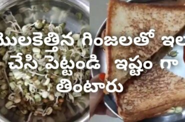 Sprouts breakfast, healthy recipes