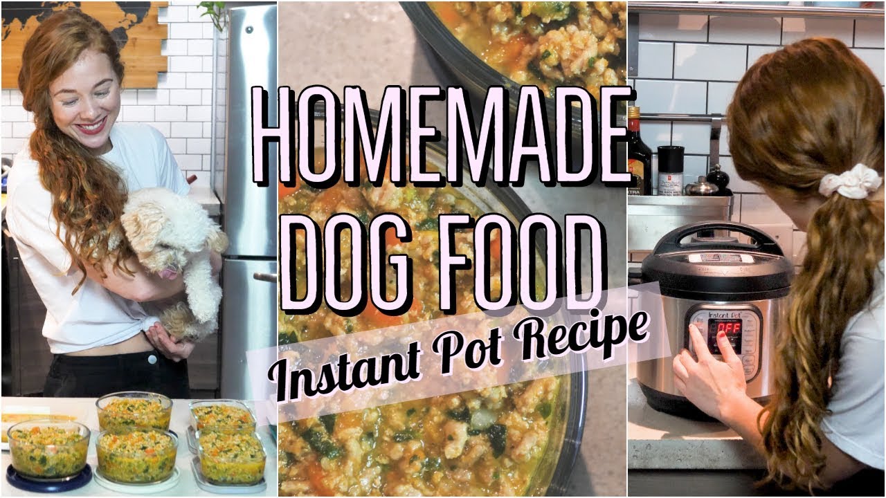 HOMEMADE + HEALTHY DOG FOOD RECIPE- USING THE INSTANT POT| COOKING FOR YOUR DOG 2🐶 HOMEMADE + HEALTHY DOG FOOD RECIPE- USING THE INSTANT POT| COOKING FOR YOUR DOG 2🐶