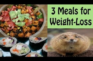 3 Weight Loss Recipes! Breakfast. Lunch. Dinner.