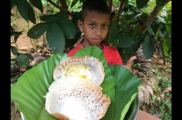 Hopper Prepared by my Amma/ Pam mama's Kitchen/ Village Healthy food