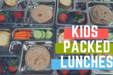 PACKED LUNCHES || KIDS LUNCH IDEAS