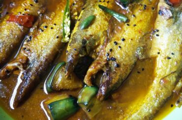 Pabda Macher Jhol| Pabda fish curry| Bengali Style Macher Jhol|lunch recipe|healthy|tasty