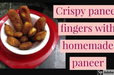 Crispy Paneer Fingers |Paneer snack recipe in tamil |Healthy snack for kids|Homemade paneer