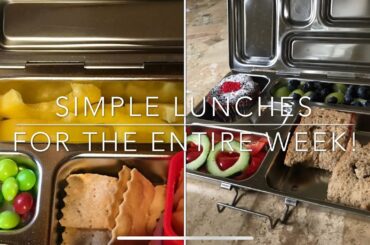 5 EASY Lunch Prep // BENTO BOXES // Healthy Lunch Ideas
