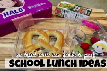 SCHOOL LUNCH IDEAS ( TRYING SOMETHING NEW )