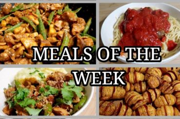 MEALS OF THE WEEK ~ FAMILY MEAL IDEAS ~ #61