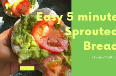 Easy 5 Minute Bread Recipe (Alkaline, Sprouted, Plant Based 🌱)