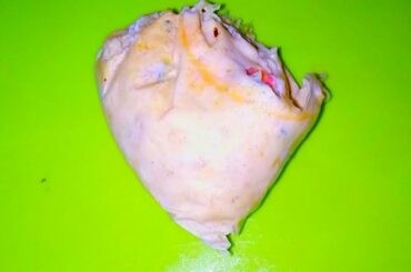 How to Make Healthy breakfast ! Nonveg Paradise