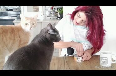 My favorite breakfast, morning breakfast enjoy, unhealthy breakfast,  healthy breakfast , breakfast,