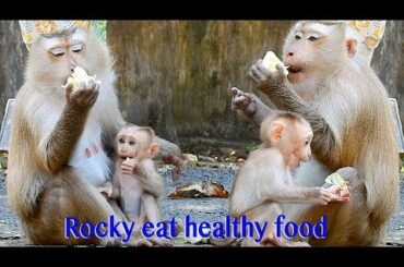 Amazing Baby Rocky So Happy Eating Healthy Food With Cutie Mama Rozy