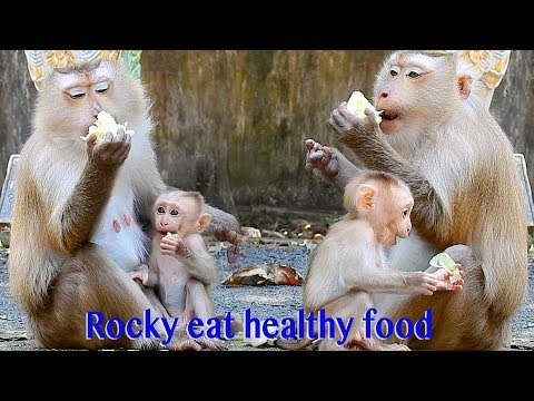 Amazing Baby Rocky So Happy Eating Healthy Food With Cutie Mama Rozy Amazing Baby Rocky So Happy Eating Healthy Food With Cutie Mama Rozy