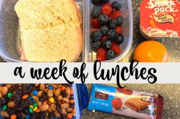 A WEEK OF LUNCHES || NOVEMBER 11-15, 2019 || BUDGETED HUSBAND & SCHOOL LUNCH IDEAS