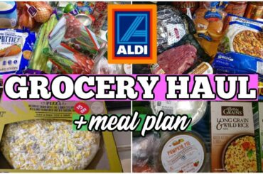 Aldi Grocery Haul & Meal Plan