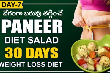 Paneer Diet Salad - Healthy Diet Recipes for Weight Loss - Weight Loss Diet Recipes in Telugu