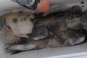 Catch and Cook - Easy Healthy Recipe for Any Fish!