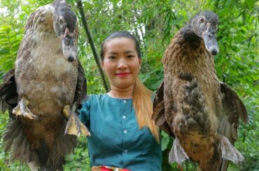 Duck Recipes - Roasted Tasty Ducks Recipe Eating Delicious For Dinner