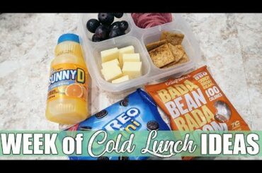 On the Go Cold Lunch Ideas for Work or School | feat. Variety Fun Box