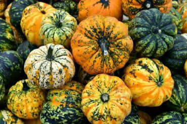 Fast and Easy Pumpkin Fries with beef Recipe