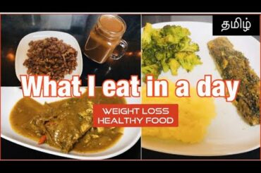 What I Eat in a Day || Weight Loss & Healthy Meals || Fish Meals